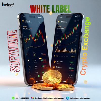 Launch Your Own Crypto Exchange Effortlessly with White Label Solutions